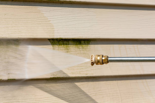 Best Roof Pressure Washing  in Boardman, OR